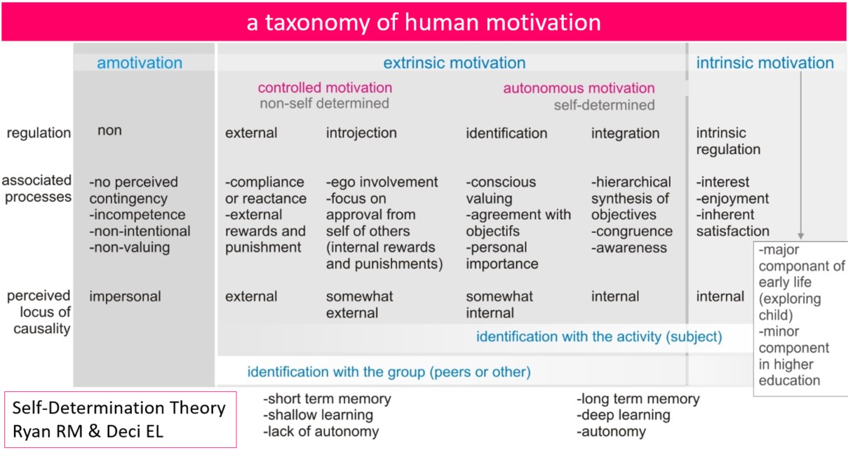 3 Self-Determination Theory, autonomy and collaborative attitude ...